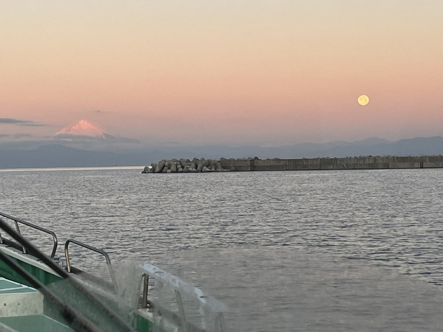 IMG_0493.JPEG