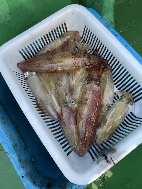 IMG_2210.jpeg